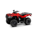 QUADRICICLO ELÉTRICO TK DP878 1000W